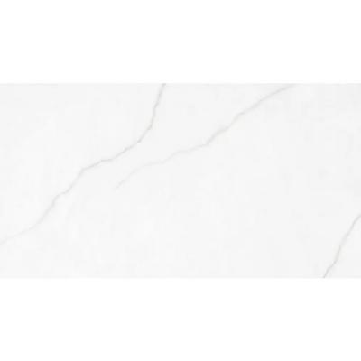 Плитка Rocersa Polar Silver Mat 60x120 RC