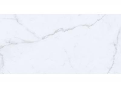 Плитка ROYAL MARBLE MPB-R257 Statuario 60x120