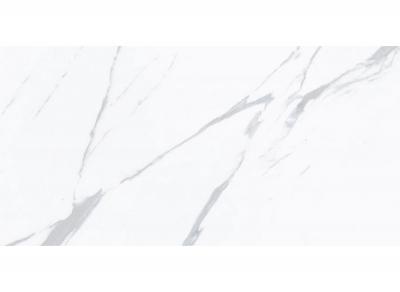 Плитка ROYAL MARBLE MPB-R3456 Calacatta 60x120