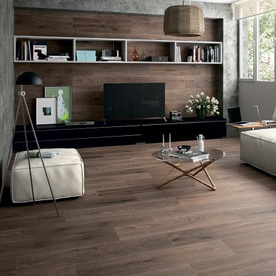 Плитка STN CERAMICA ARTICWOOD MOCHA 23Х120