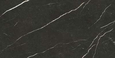 Плитка Tau Ceramica Elite Black Pul 60x120