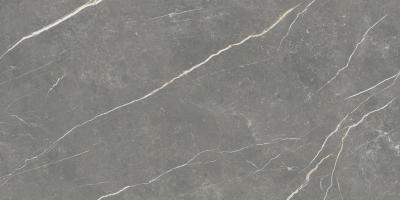 Плитка Tau Ceramica Elite Graphite Matt Rec 60x120