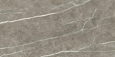 Плитка Tau Ceramica Elite Graphite Pul 60x120