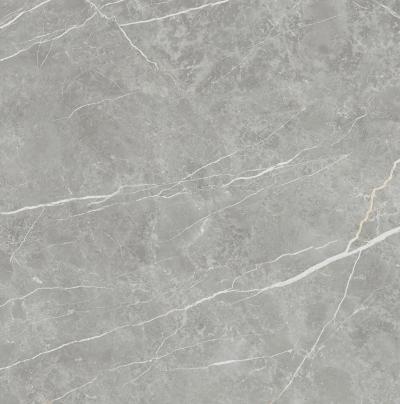 Плитка Tau Ceramica Elite Gray Matt 90x90