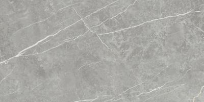Плитка Tau Ceramica Elite Gray Matt Rec 60x120