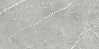 Плитка Tau Ceramica Elite Gray Pul 60x120