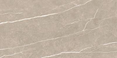 Плитка Tau Ceramica Elite Greige Matt Rec 60x120