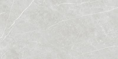 Плитка Tau Ceramica Elite Silver Matt Rec 60x120