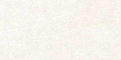 Плитка Tau Ceramica Elite White Matt Rec 60x120
