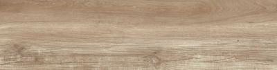 Плитка Tau Ceramica Eternal Roble Rec 25x100