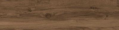 Плитка Tau Ceramica Eternal Teka Rec 25x100