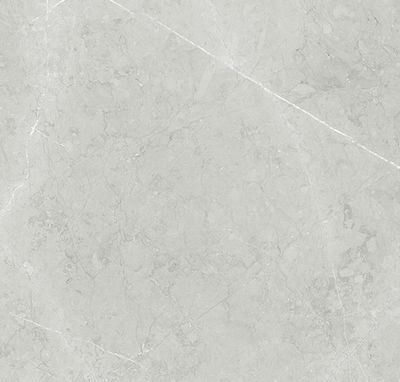 Плитка TAU CERAMICA M13 ALTAMURA SILVER NATURAL 60x60