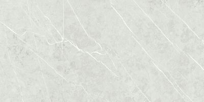 Плитка TAU CERAMICA M27 ALTAMURA SILVER 60х120