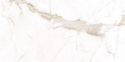 Плитка Teo Ceramics Alcora Gold F P R Satin 60x120