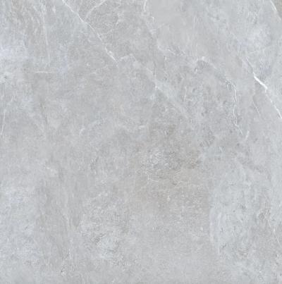Плитка Teo Ceramics Aria Silver Mat 120x120