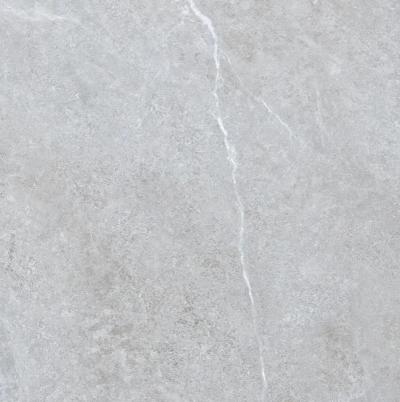 Плитка Teo Ceramics Aria Silver Mat 120x120
