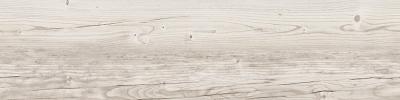 Плитка Teo Ceramics Aspen White F PR 20x120 R Mat