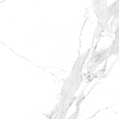 Плитка Teo Ceramics Avenzo Silver F P 60x60 R Mat