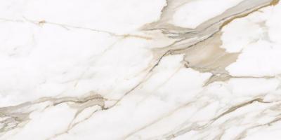 Плитка Teo Ceramics Calacatta Gold F P 60x120 R Full lap