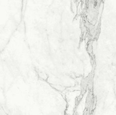 Плитка Teo Ceramics Carma White F P 60x60 R Sumat