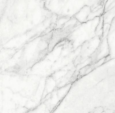 Плитка Teo Ceramics Carma White F P 60x60 R Sumat