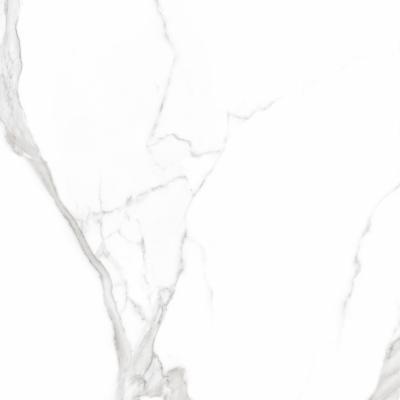 Плитка Teo Ceramics Carrara White F P Mat 60x60