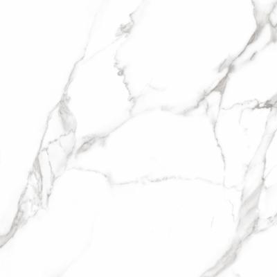 Плитка Teo Ceramics Carrara White F P Mat 60x60