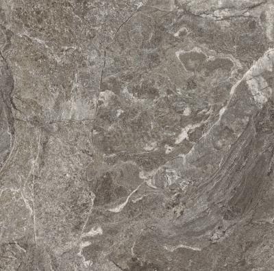 Плитка Teo Ceramics Magnifica Bronze F P 60x60 R Sumat