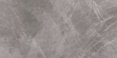 Плитка Teo Ceramics Marmolino Grey F P 60x120 R Mat