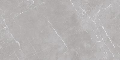Плитка Teo Ceramics Marmolino Silver F P Mat R 60x120