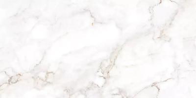 Плитка Teo Ceramics Palazzo White F P R Full Lappato 60x120