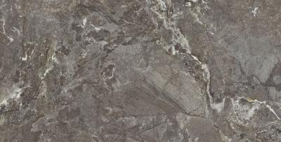 Плитка Teo Ceramics Snake Stone Bronze F PC R Sugar 60x120
