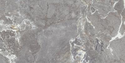 Плитка Teo Ceramics Snake Stone Grey F PC R Sugar 60x120