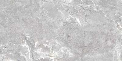 Плитка керамограніт Teo Ceramics Snake Stone Silver F PC R Sugar 60x120