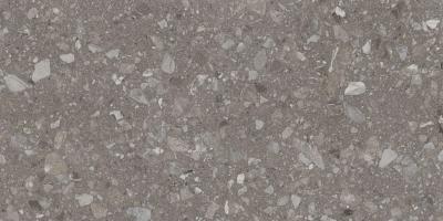 Плитка Teo Ceramics Terra Greige F PC R Sugar 60x120