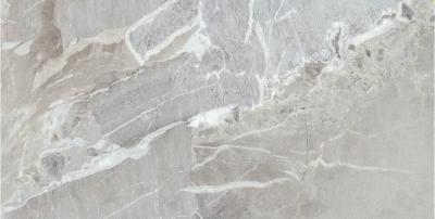 Плитка Teo Ceramics Ultima Silver F P 60x120 R Sumat