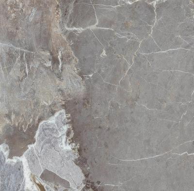 Плитка Teo Ceramics Ultima Silver F P 60x60 R Sumat