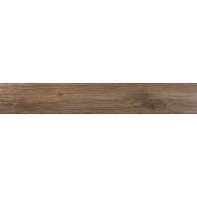 Плитка Ecoceramic WALKYRIA FRESNO 20х120