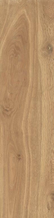 Плитка Zeus Ceramica Essenza Beige ZXXES3BR