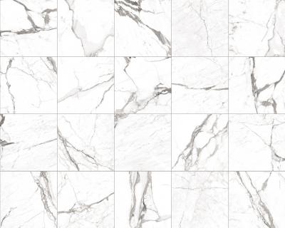 Плитка Zeus Ceramica MICHELANGELO WHITE ZRXMG1BR 60x60