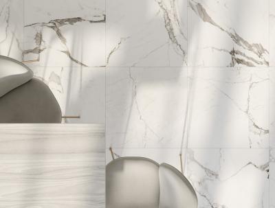 Плитка Zeus Ceramica MICHELANGELO WHITE ZRXMG1BR 60x60