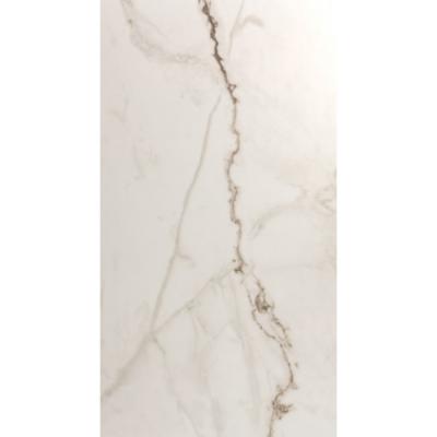 Плитка Kutahya Seramik Polar RT 60x120 55014538R
