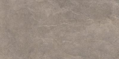 Плитка Opoczno PURE STONE GREY MATT RECT 59, 5x120 G1