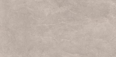 Плитка Opoczno PURE STONE LIGHT GREY MATT RECT 59, 5x120 G1
