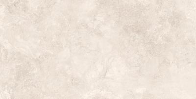 Плитка CERAMA MARKETAL RAPOLANO SILVER MATT 60х120