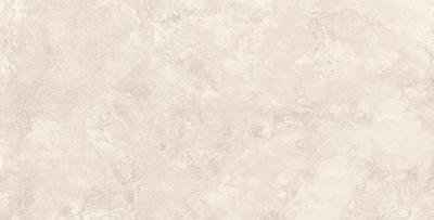 Плитка CERAMA MARKETAL RAPOLANO SILVER MATT 60х120