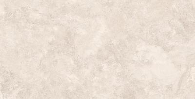 Плитка CERAMA MARKETAL RAPOLANO SILVER MATT 60х120