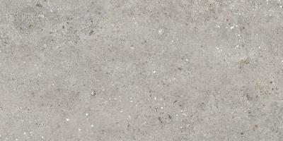 Плитка Cersanit RIALTO GREY MATT 59,8X119,8 G1