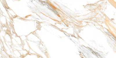 Плитка Raviraj Roman Satuario 60x120 polished