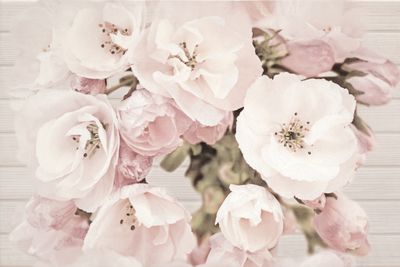 Декор Cersanit Sakura квіти декор